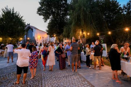 24504X1131 – kopija